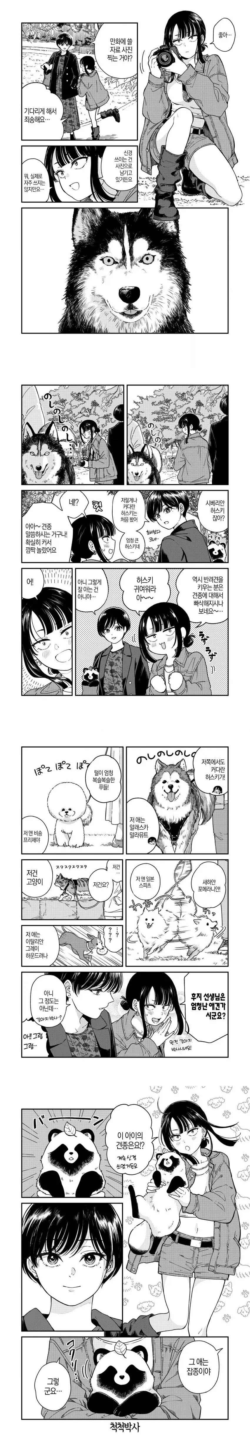 견종이 뭔지 알아맞춰주는 누나 만화.manga_1.webp