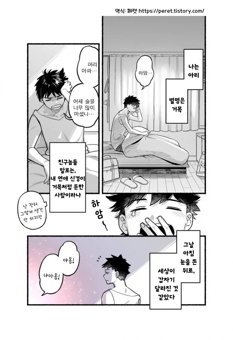 만화 894 페이지 | ToonTap 이미지 6