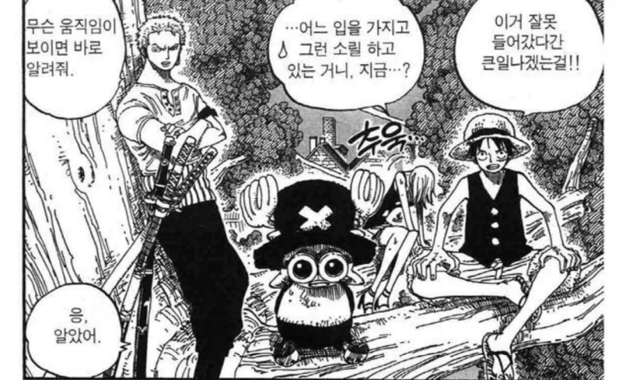 원피스) 무모함에 완전히 적응해버린 항해사_1.webp
