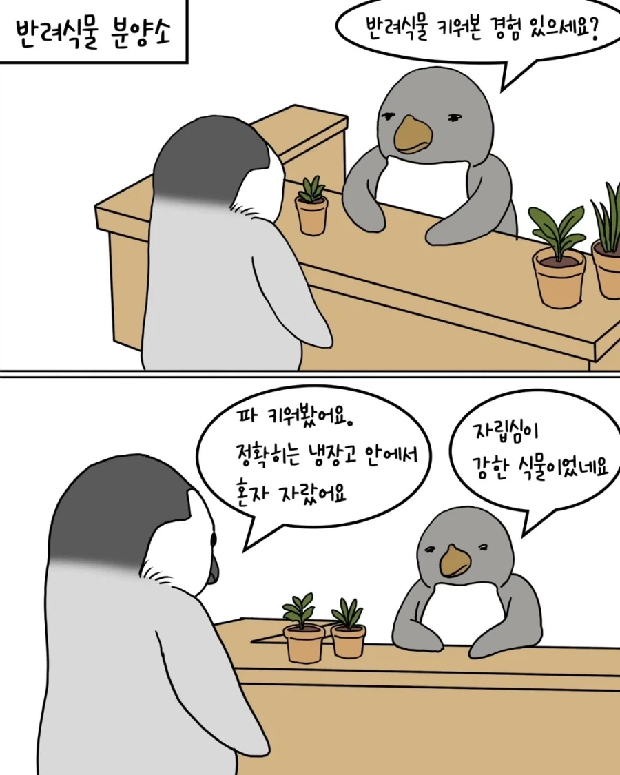 만화 804 페이지 | ToonTap 이미지 15