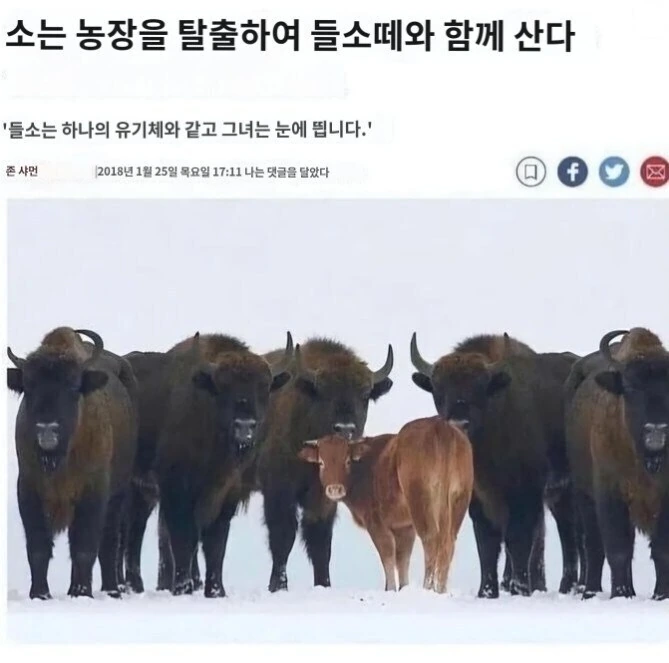 NTR망가 엔딩 특징_1.jpg