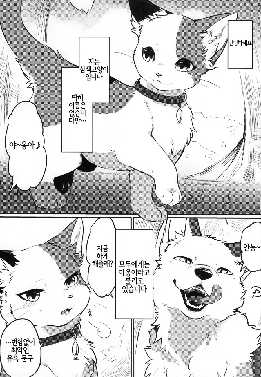 만화 934 페이지 | ToonTap 이미지 6