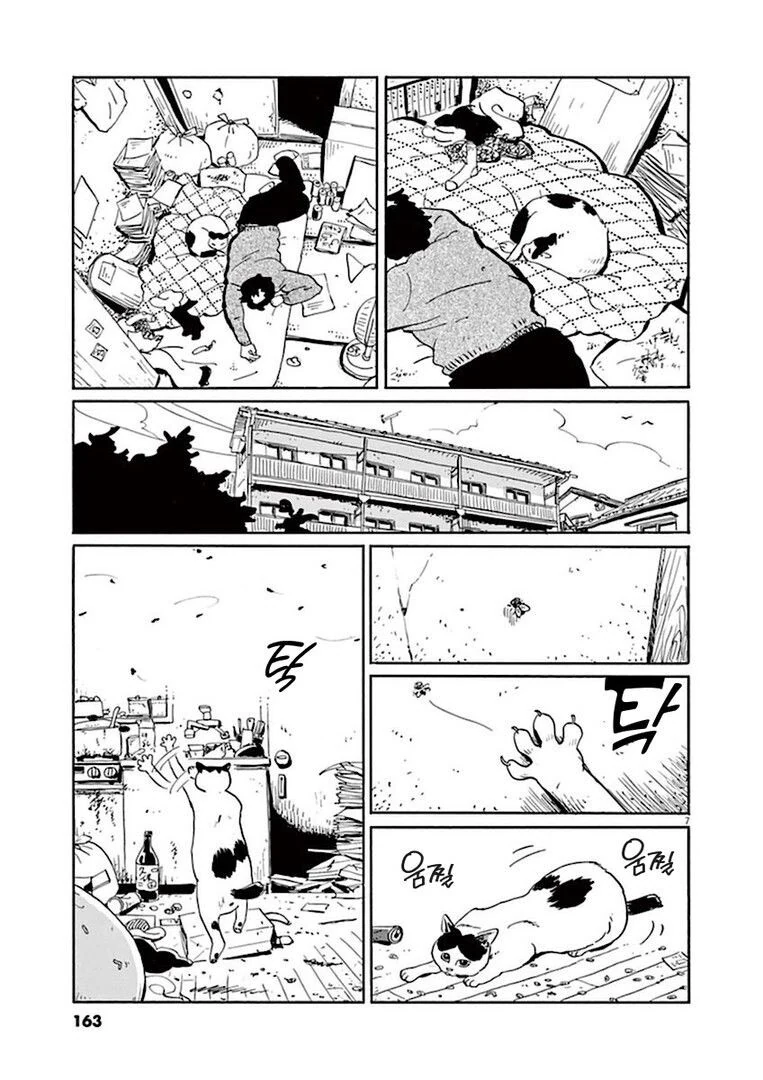 집고양이 분짱의 일년.manga_7.jpg
