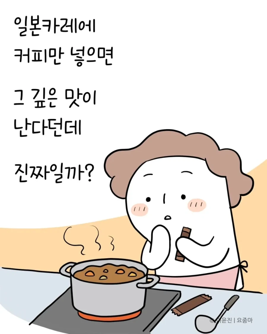 일본에서 오래전에 먹은 카레맛을 드디어 재현했다.manhwa_1.webp