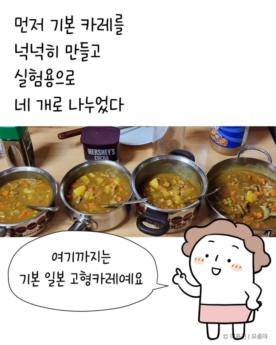 일본에서 오래전에 먹은 카레맛을 드디어 재현했다.manhwa_8.webp