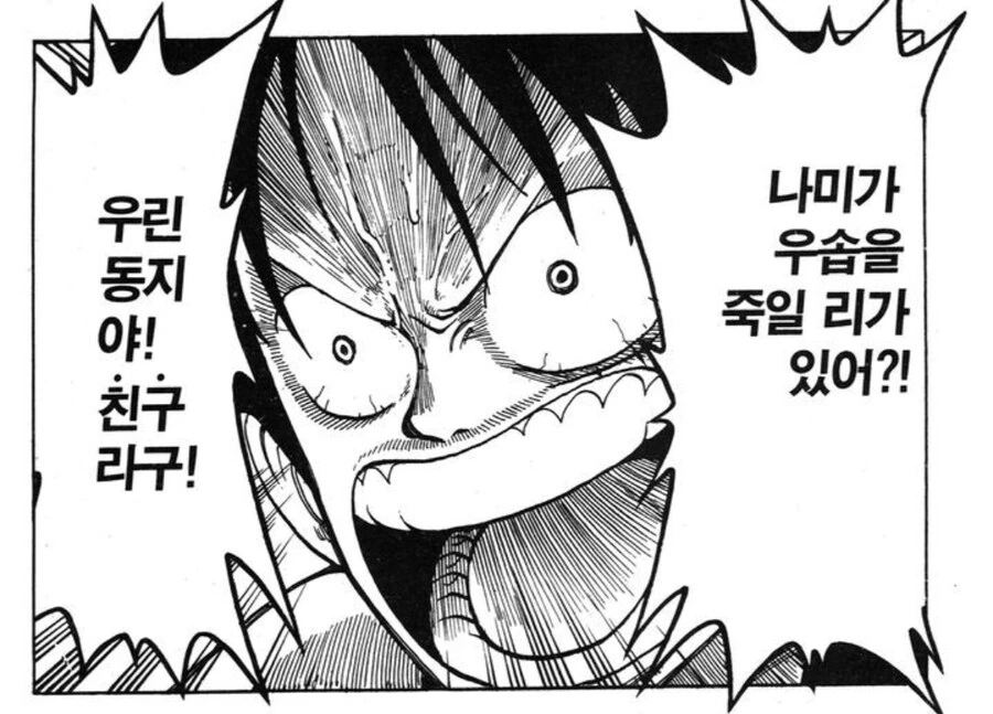 원피스) 루피가 나미한테 통수 맞았을때 화조차 안낸 이유_11.jpg