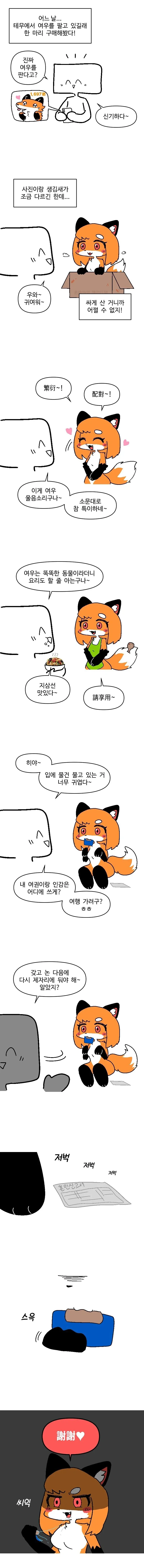 테무에서 여우 사는 만화_1.webp