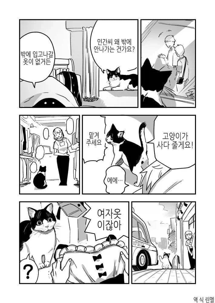 고양이를 키워야 하는 이유.manhwa_1.webp