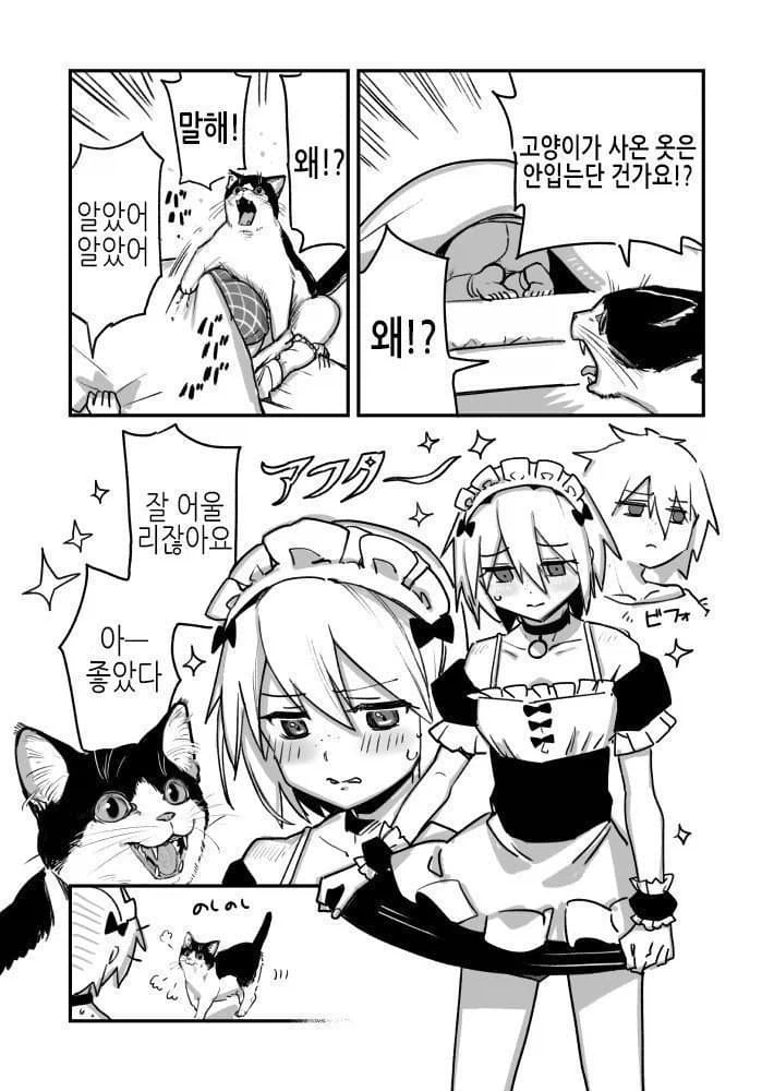 고양이를 키워야 하는 이유.manhwa_2.webp