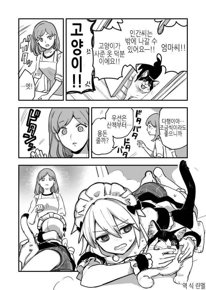고양이를 키워야 하는 이유.manhwa_5.webp