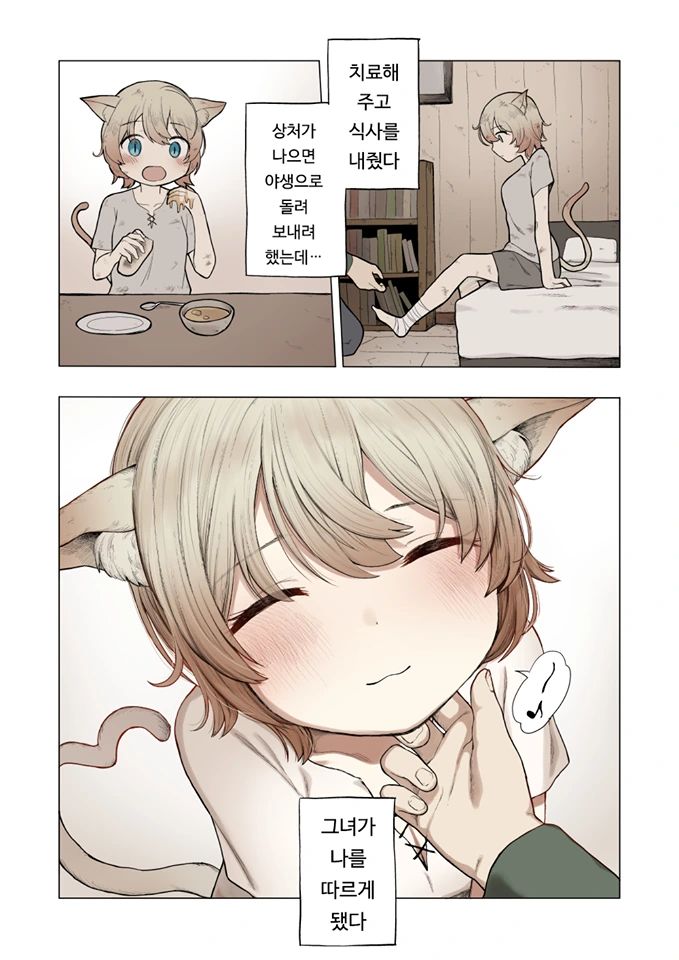 고양이 소녀를 구해준 Manhwa - 이미지 2