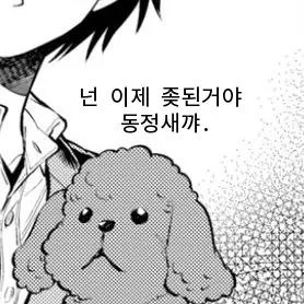 ㅇㅎ) 강아지랑 여자집 놀러간.manhwa - 이미지 2