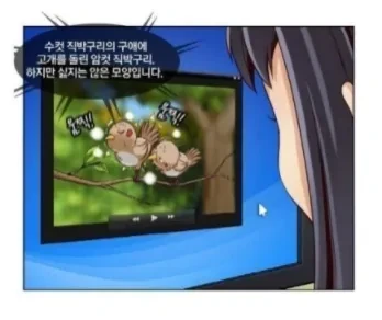 manga_1538848_005_6de9b0da5d8e.webp