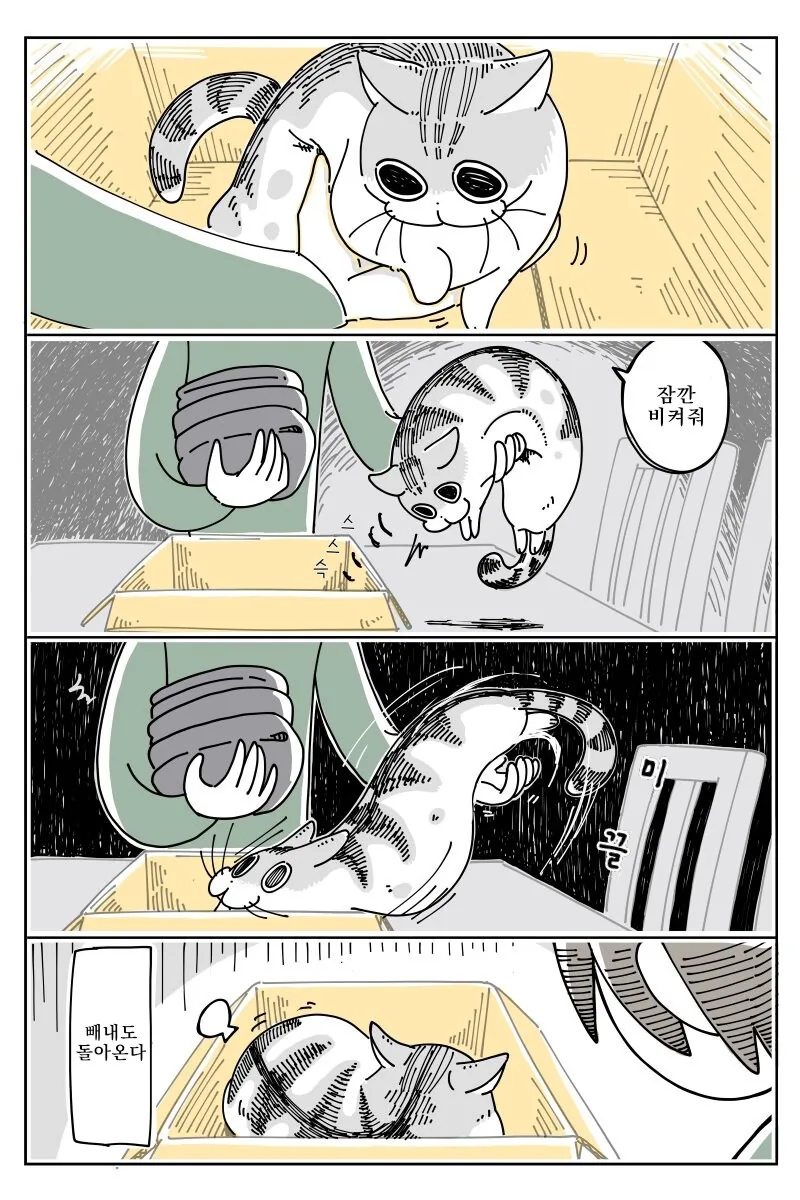 고양이 만화) 큐루가는 귀엽다. - 이미지 3