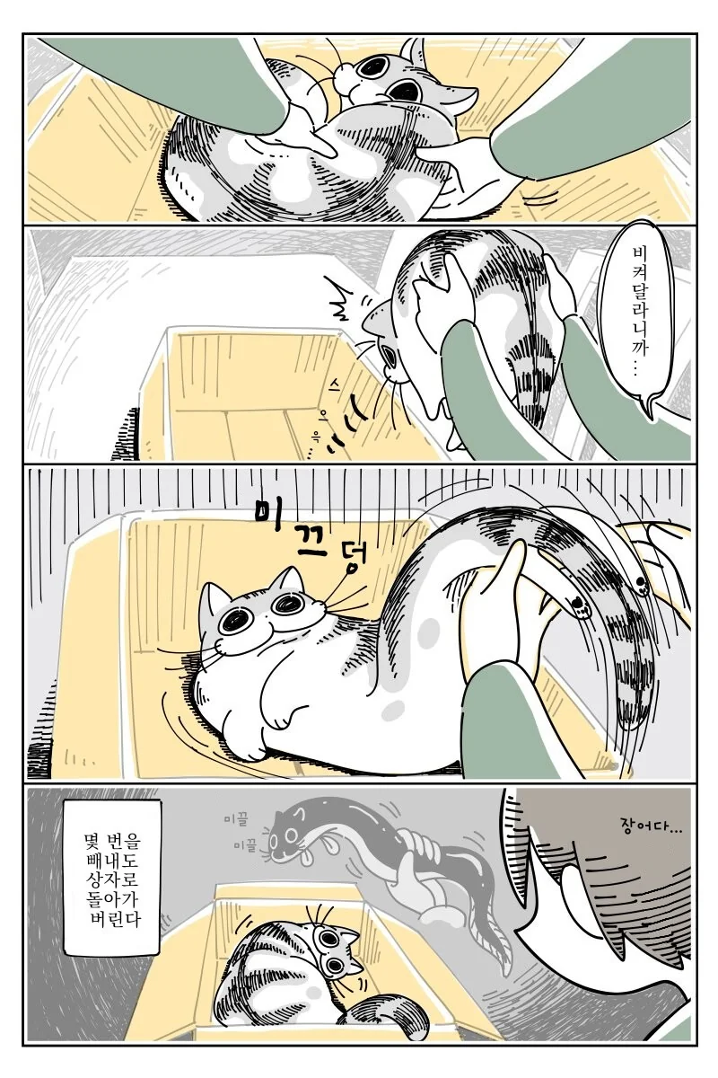 고양이 만화) 큐루가는 귀엽다. - 이미지 4