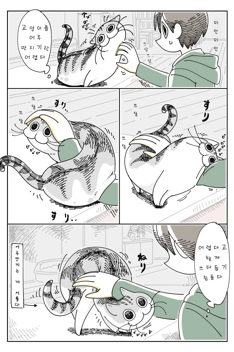 고양이 만화) 큐루가는 귀엽다. - 이미지 10