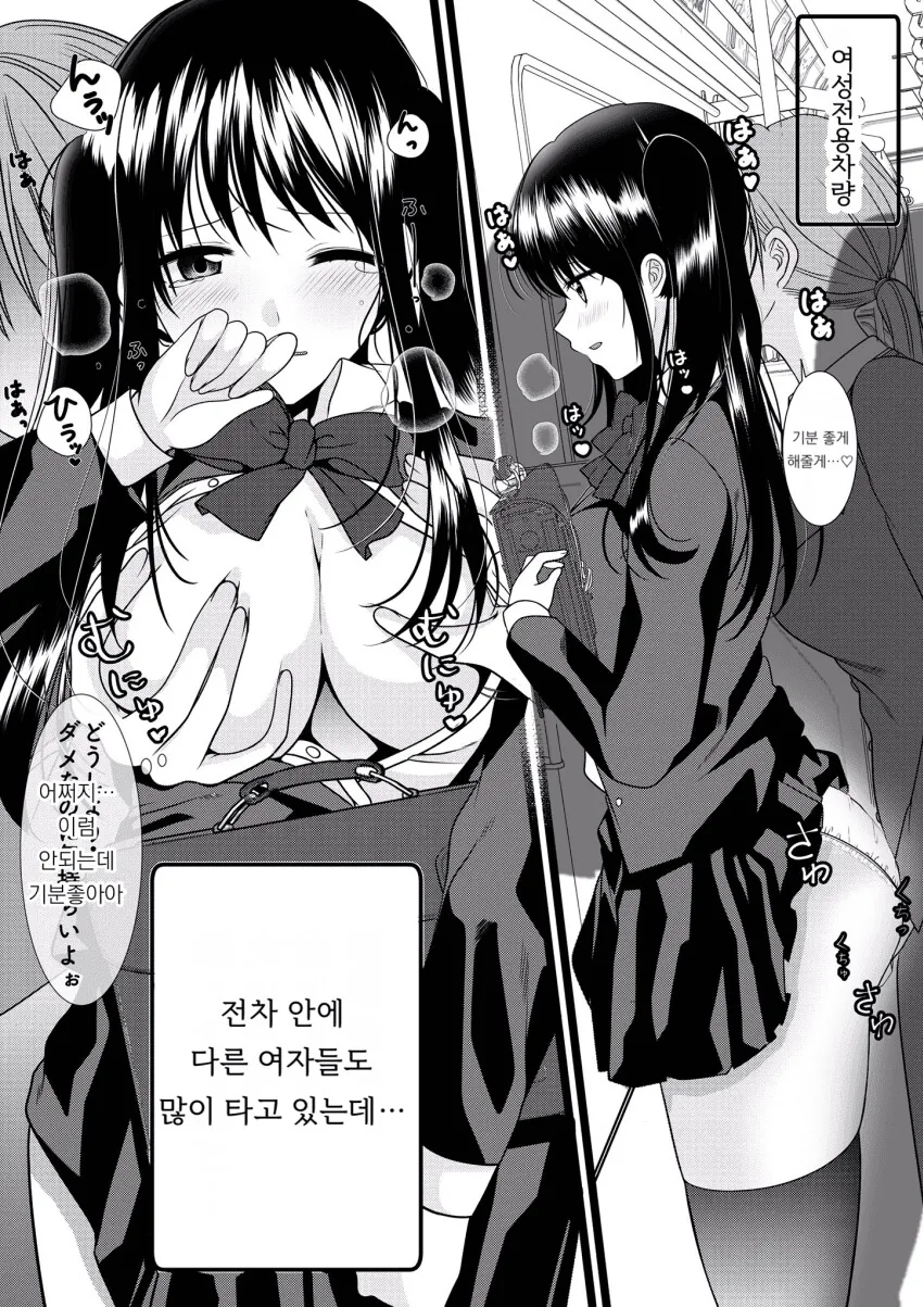 백합)ㅎㅂ) 여성전용차량에서 치한한테 당하는 만화