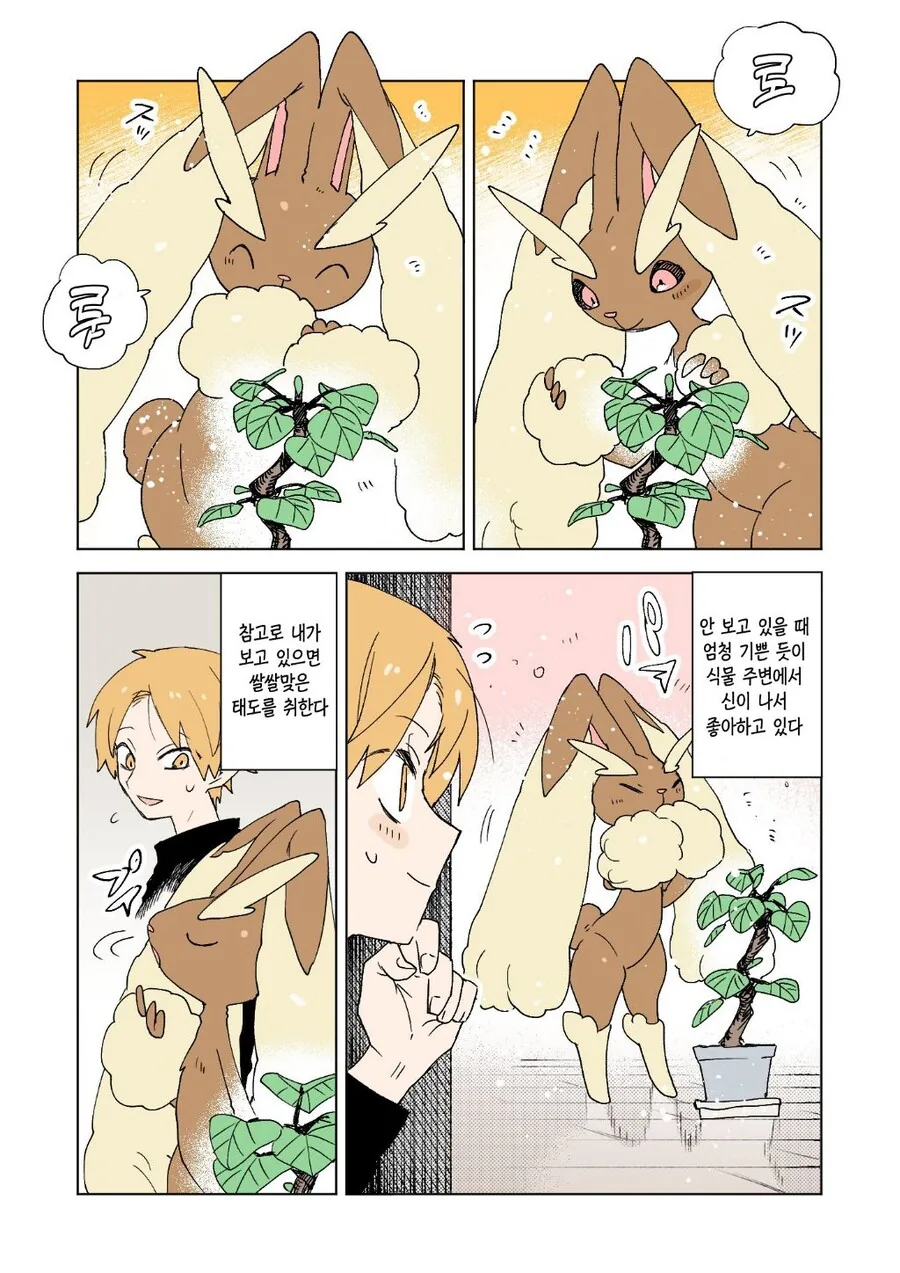 포켓몬과 함께하는 일상 만화.manga - 이미지 16