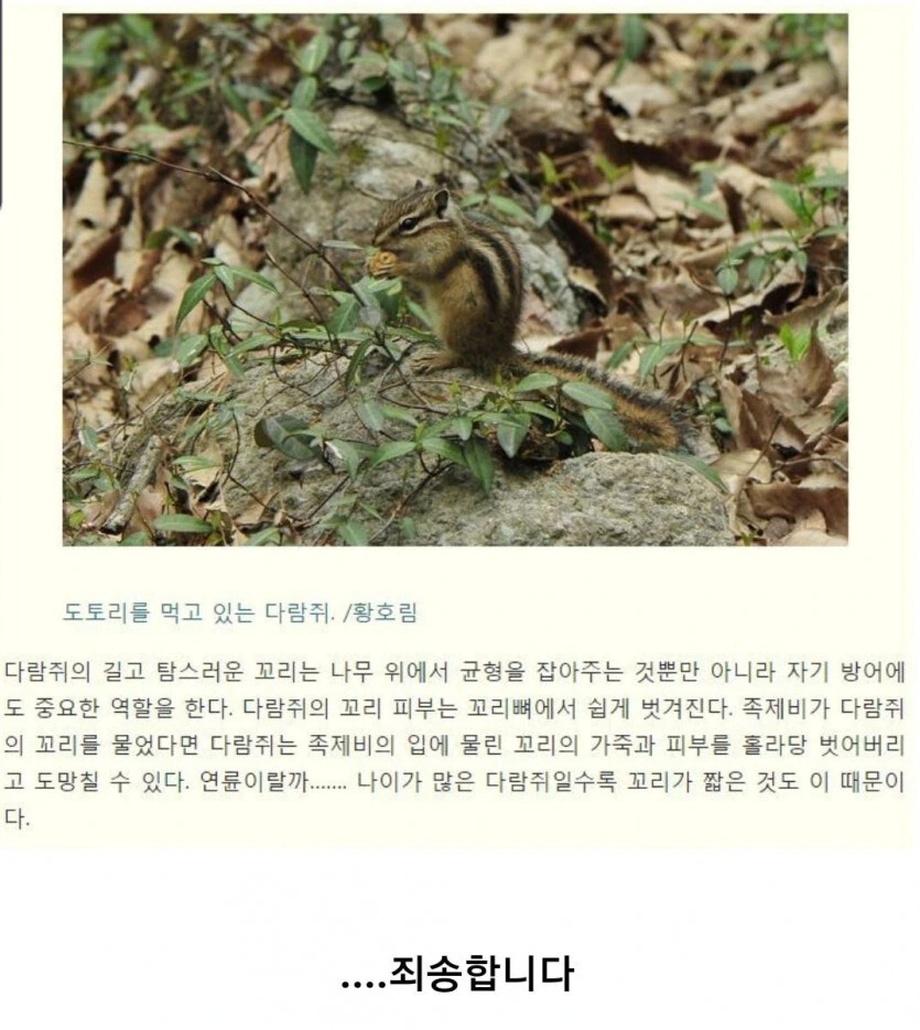 위험하면 꼬리자르고 도망 가는 애들 뭐라더라.jpe - 이미지 2