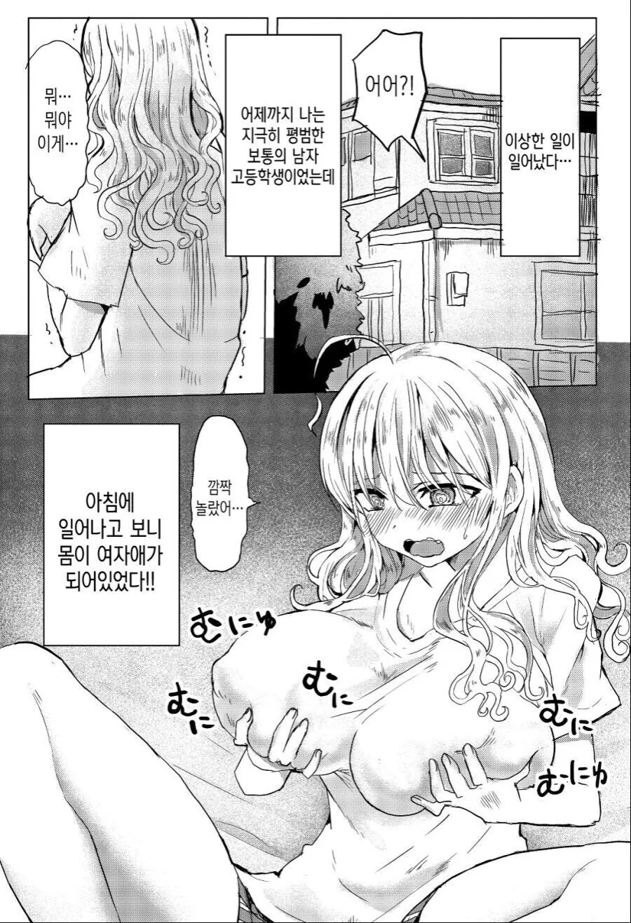 ts물 상식을 깨트리는 만화 - 이미지 2