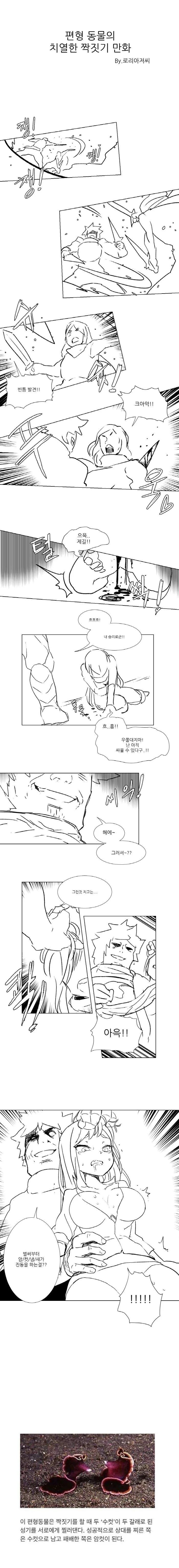 편형동물의 짝짓기.manhwa