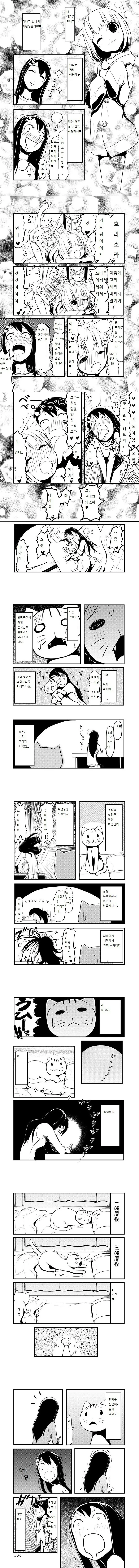 실제로 고양이를 키우면 벌어지는 일.Manga