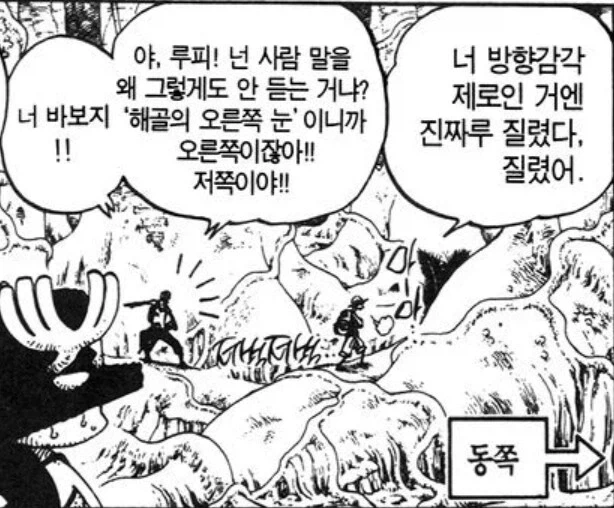 원피스) 조로가 방향감각으로 참견할때 반응_1.webp