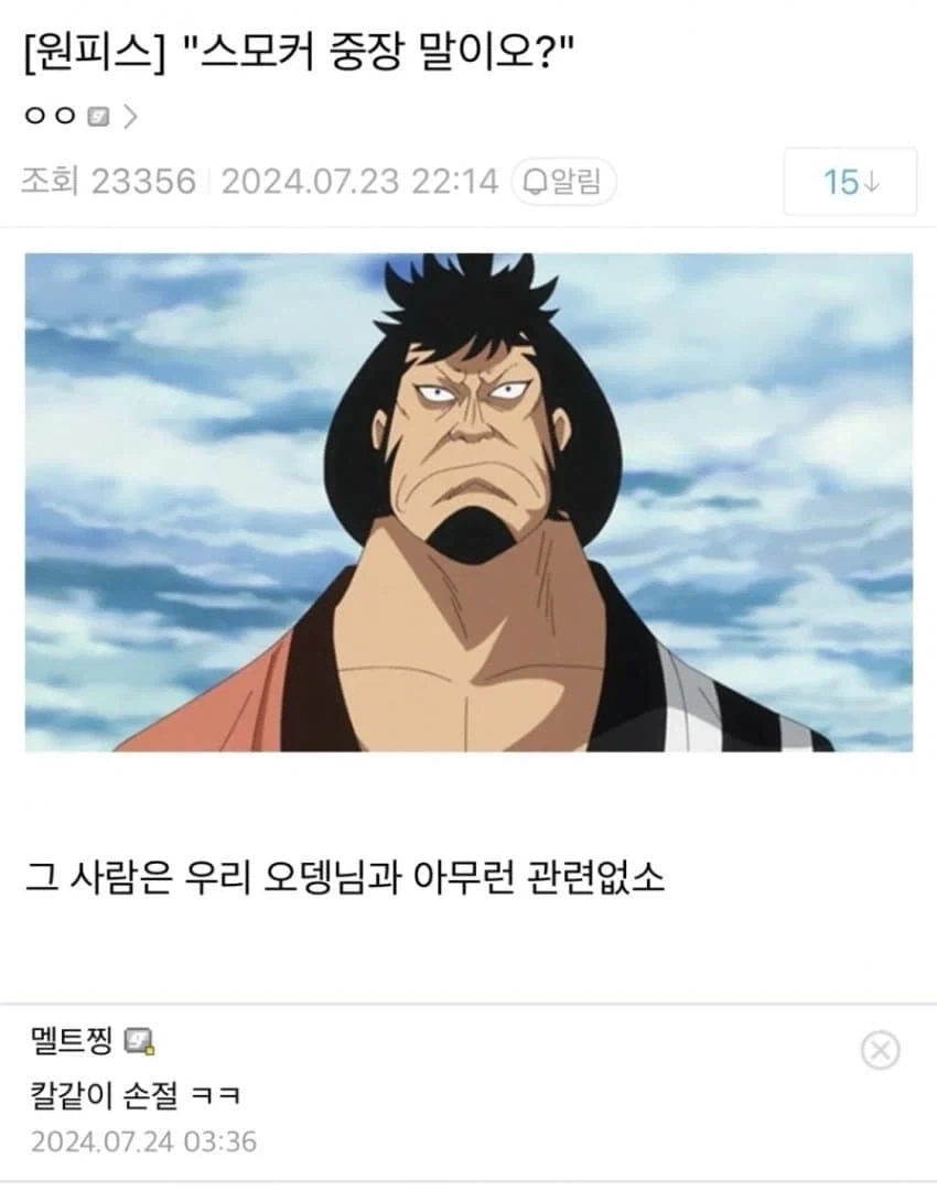 원피스) 밈 거르고 봐도 버려진 캐릭터.jpg - 이미지 17