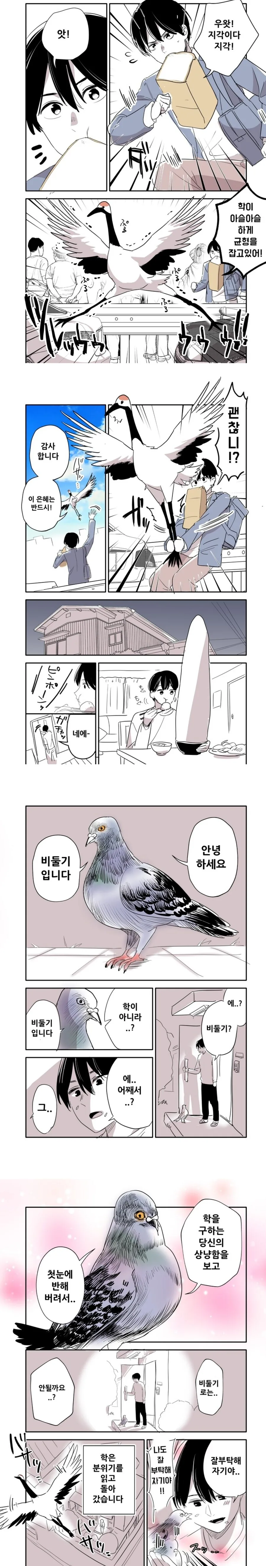 은혜 갚으려는 학의 이야기.manga
