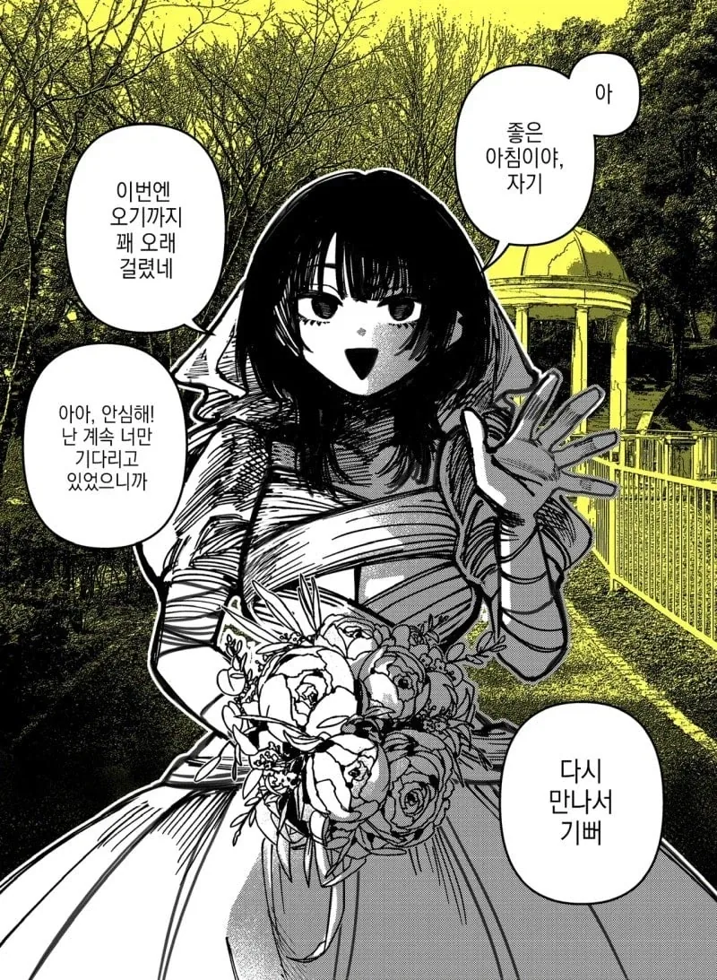 꿈에서만 만날 수 있는 신부 manhwa