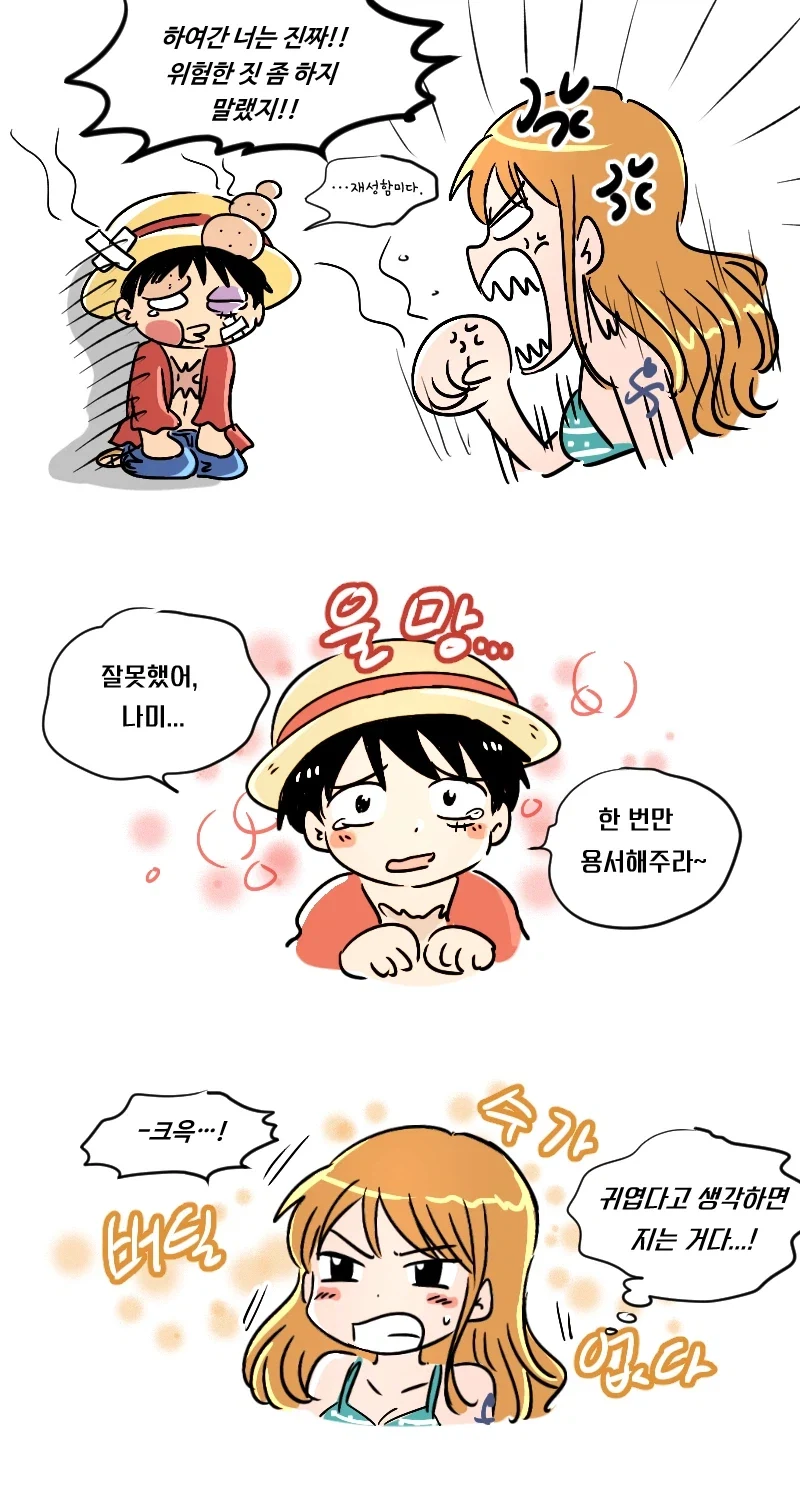 원피스 팬아트) 누나한테 용돈달라 조르는 루피 만화_3.webp