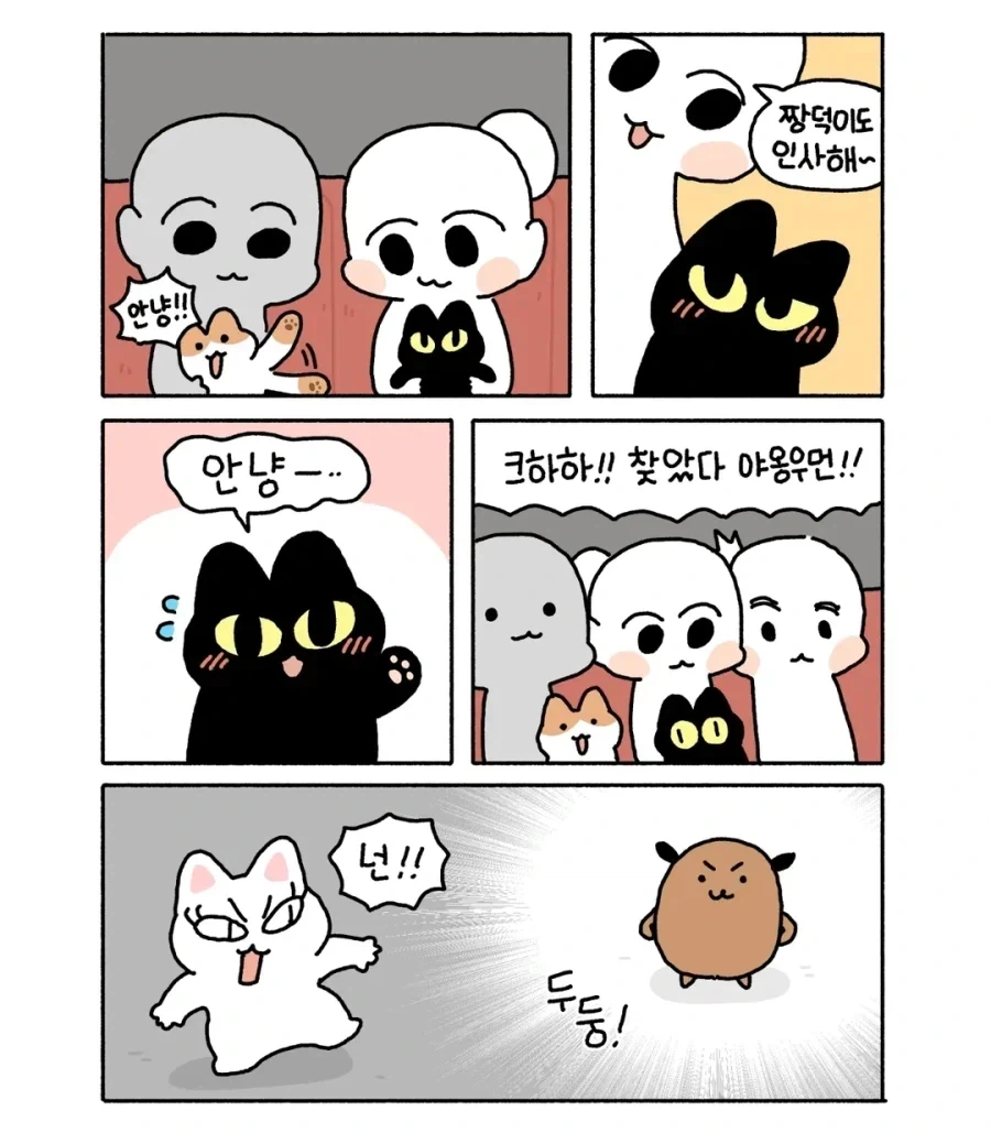 아깽이가 사람처럼 공연 가는 만화.manga - 이미지 3
