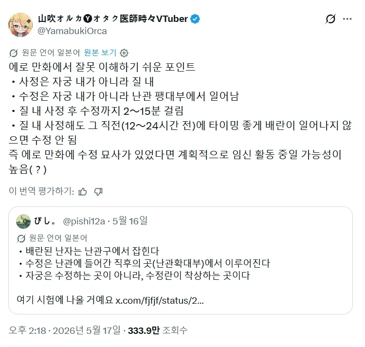 ㅇㄹ망가의 잘못된 고증.jpg