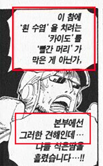 원피스) 슬슬 정설 취급해도 되는 밈들 모음_4.png