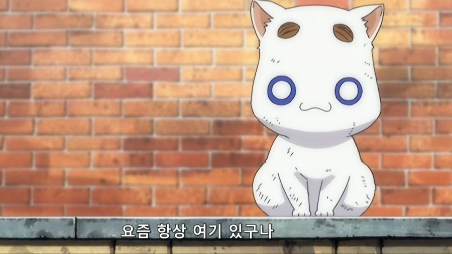 길고양이 줍고 창업했는데 존나 흥한 썰 푼다 !! - 이미지 7