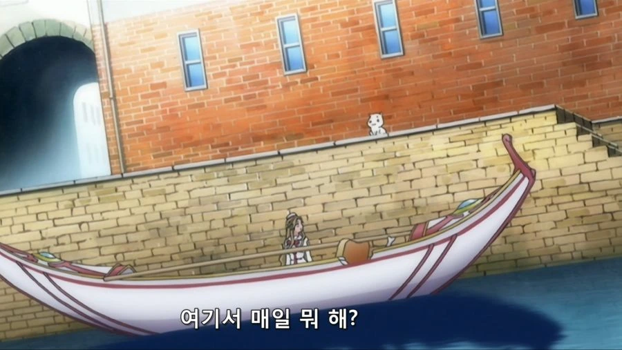 길고양이 줍고 창업했는데 존나 흥한 썰 푼다 !! - 이미지 9