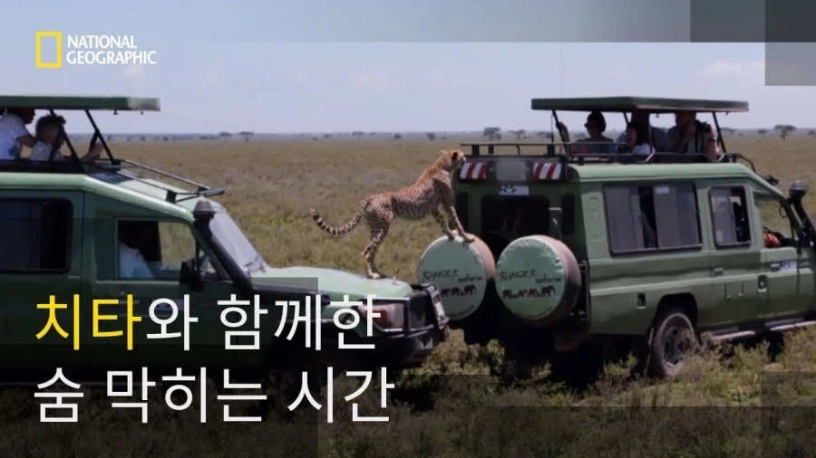 메탈카드봇)그렇지! 아프리카 하면 오지 탐험가지!_5.webp