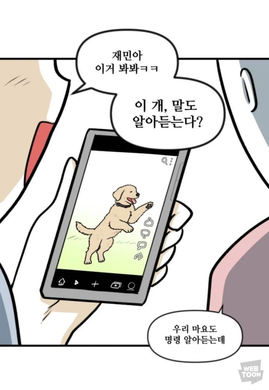 만화 544 페이지 | ToonTap 이미지 8