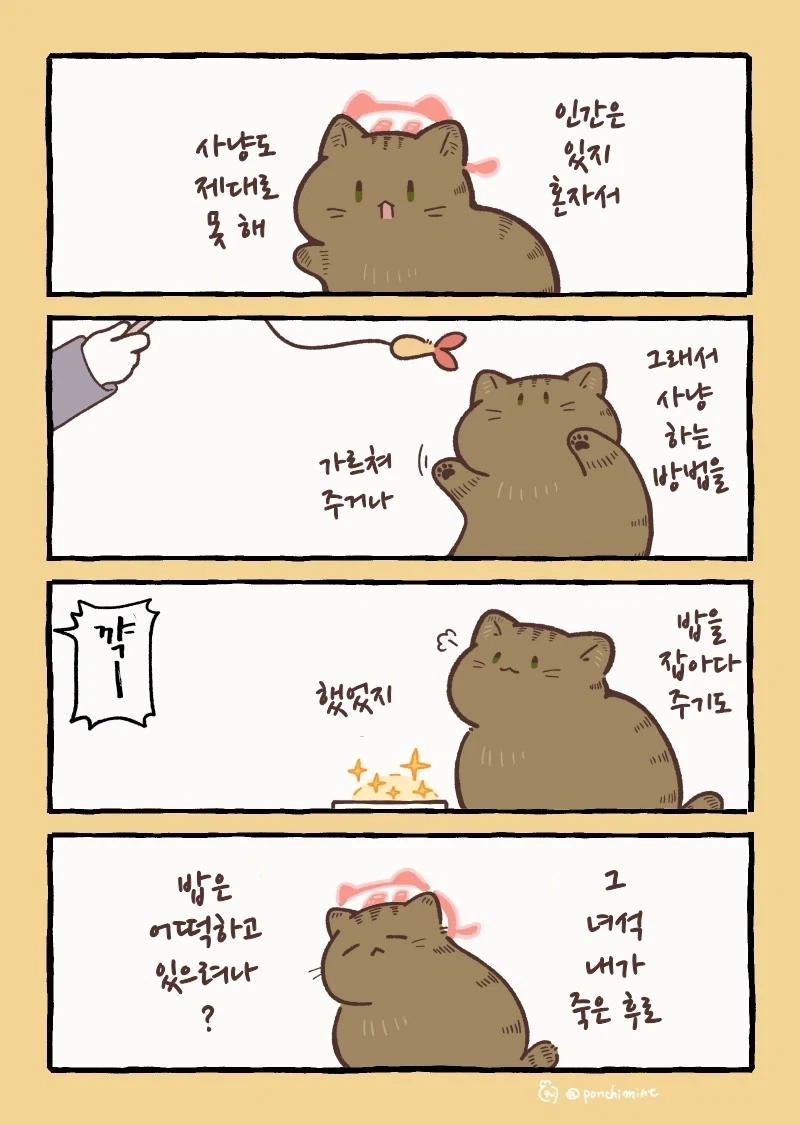 만화 737 페이지 | ToonTap 이미지 5