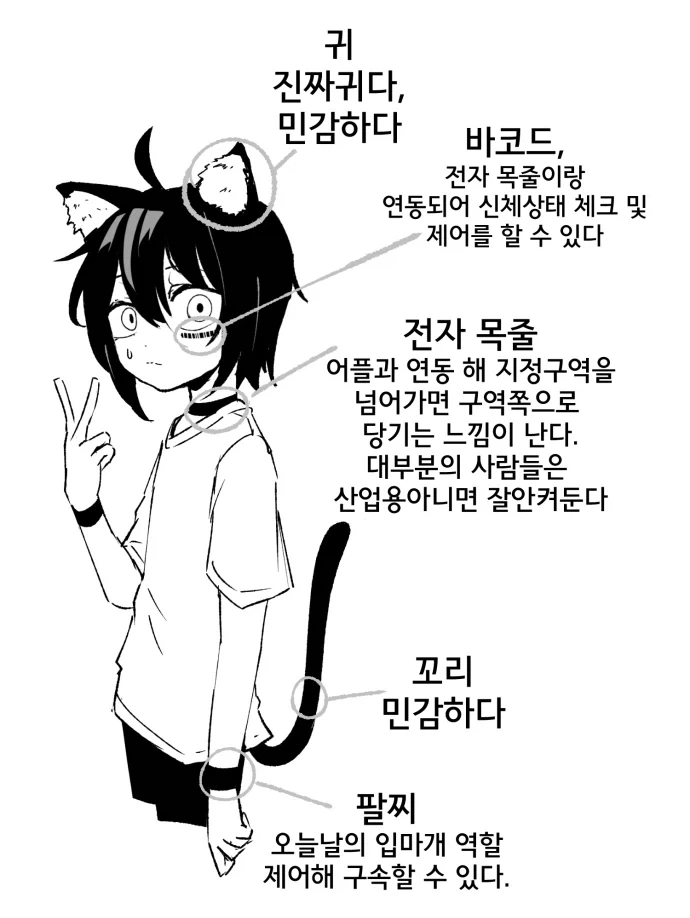 고양이 귀 수인으로 환생한 Manhwa (약 스압)_24.webp