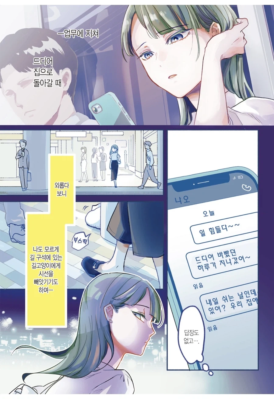고양이를 키우지 못하는 집에서 고양이를 키우는 법_1.webp