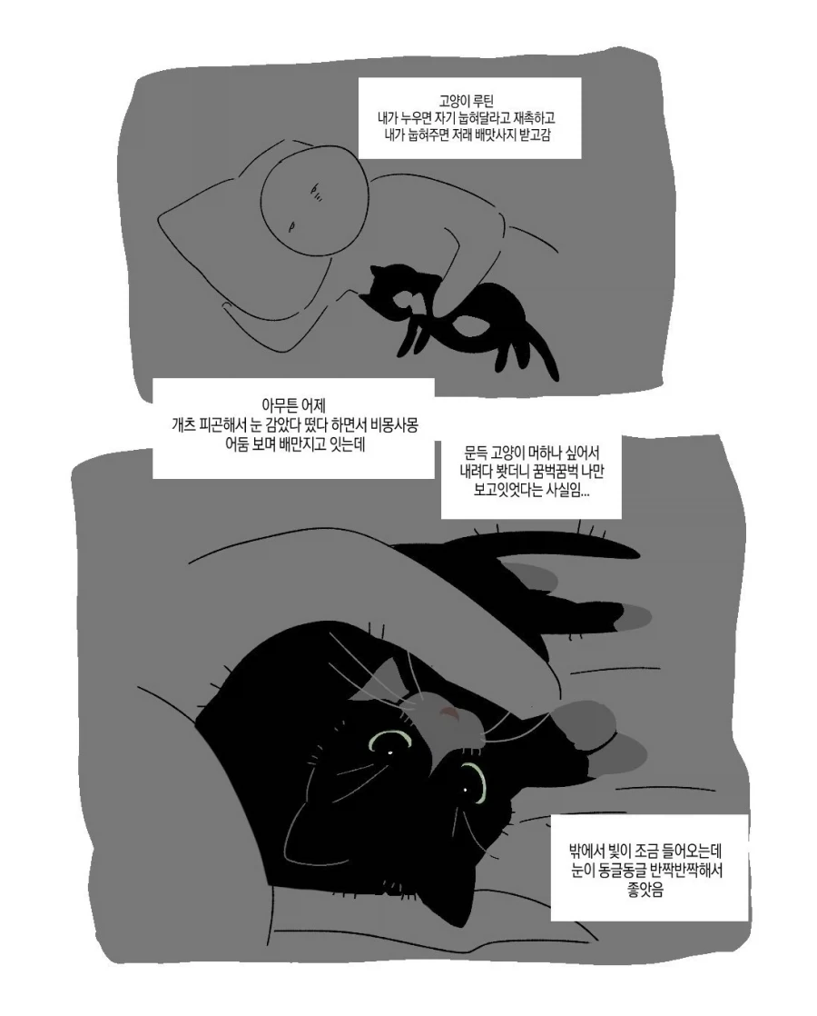 만화 735 페이지 | ToonTap 이미지 8
