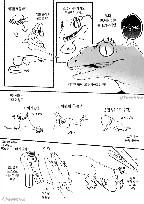 만화 685 페이지 | ToonTap 이미지 12