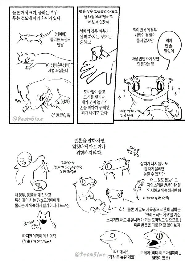 도마뱀한테 물려보는 만화_2.webp