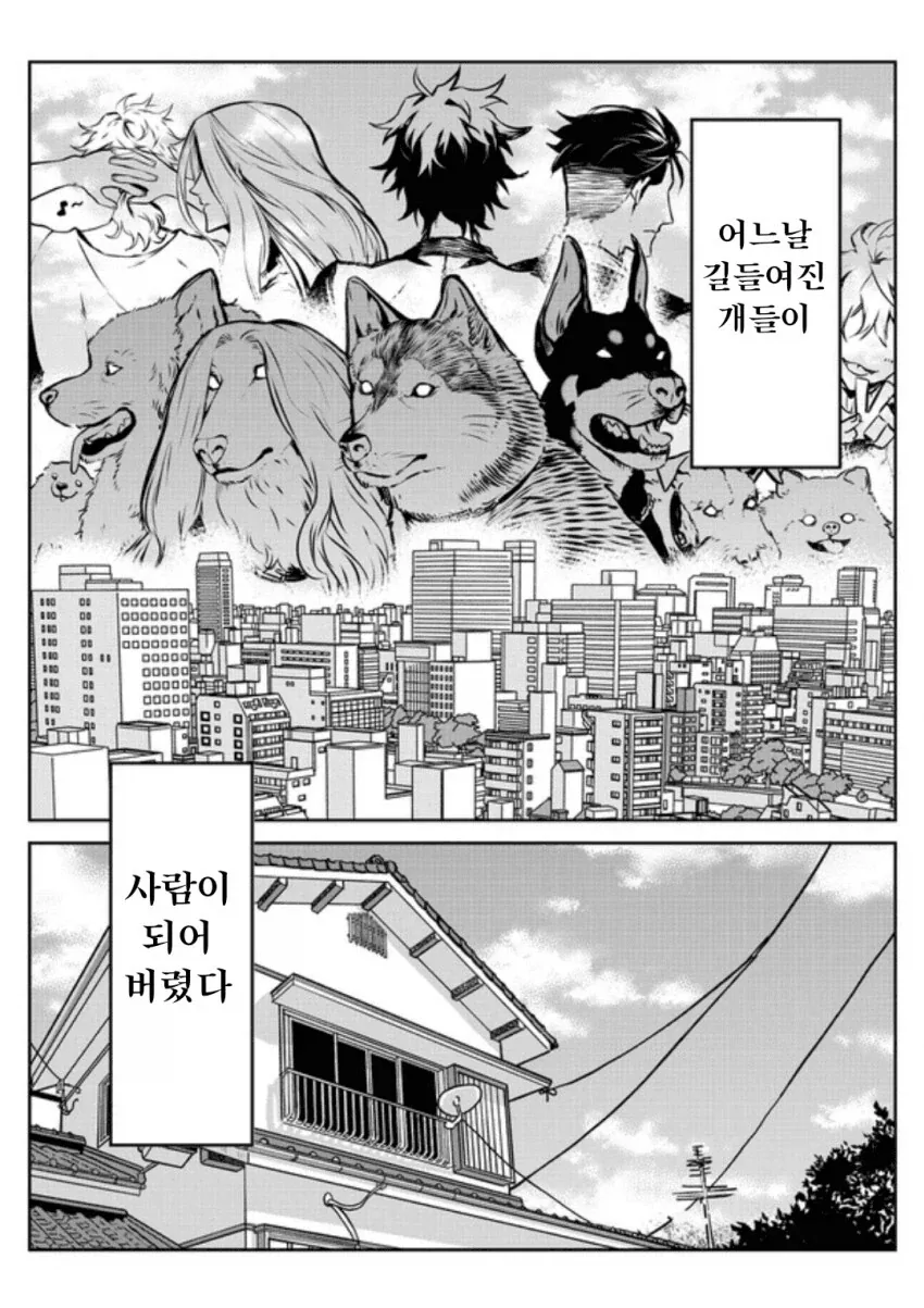 만화 626 페이지 | ToonTap 이미지 12