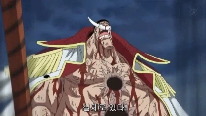 원피스) 정상결전의 mvp_2.webp