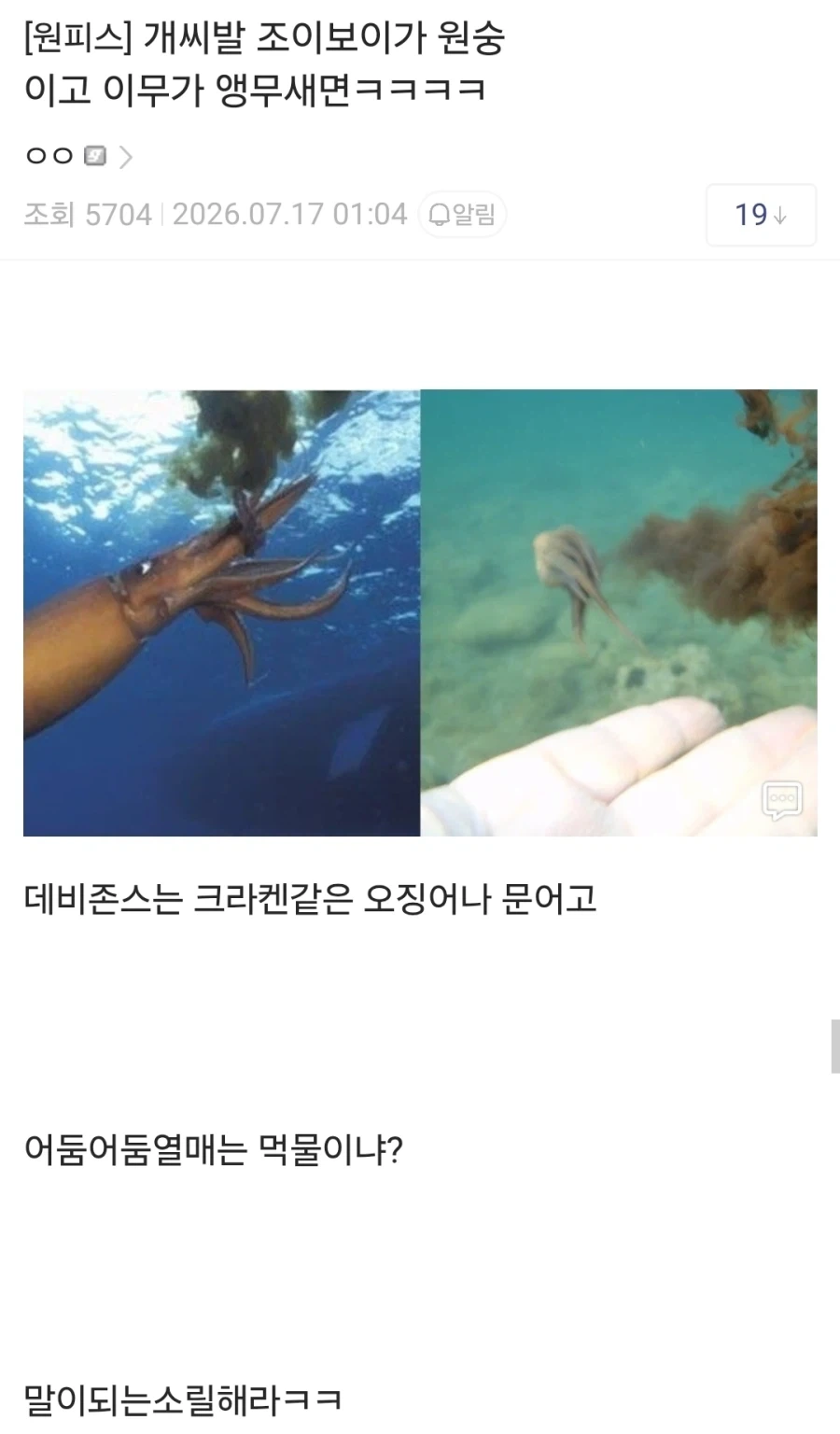 원피스)앵무새가 그러면 데비존스는 ㅋㅋㅋㅋㅋ_1.webp