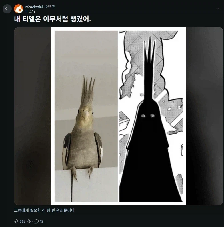 원피스)앵무새이론마저 만화같음_1.webp