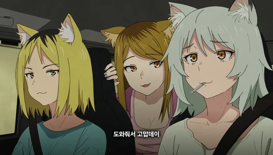 담배고양이)이게 뭔 설정이야 ㅋㅋ_1.webp