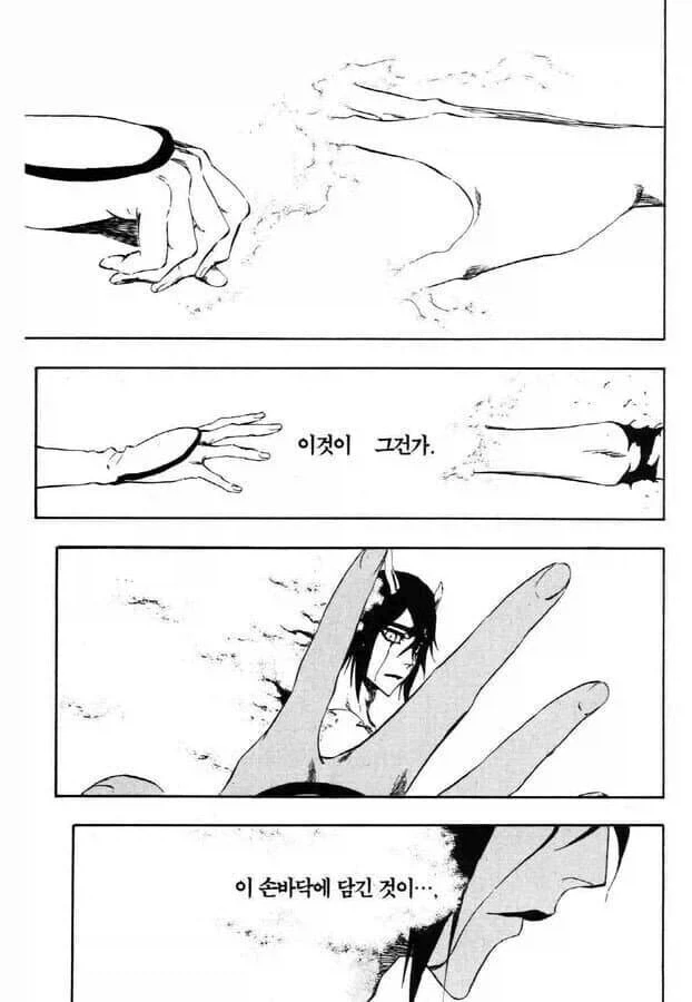 최소 한 달은 같이 있었던 듯한 아련한 블리치 장면 manhwa_2.webp